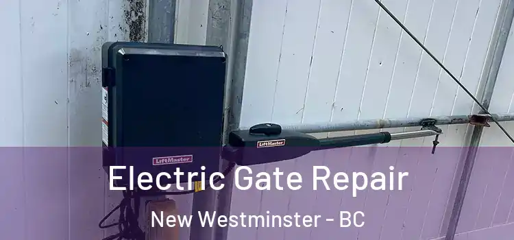  Electric Gate Repair New Westminster - BC